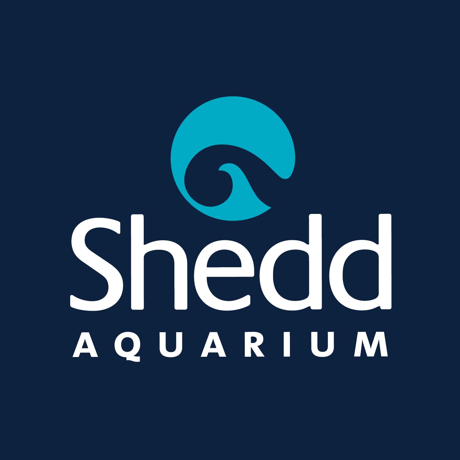 Shedd