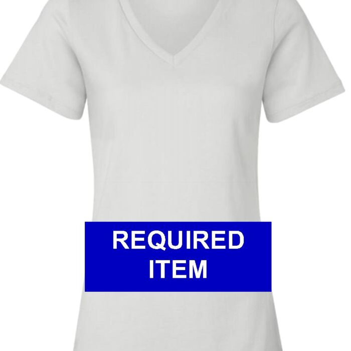 Lancettes Relaxed V-Neck Tee Thumbnail